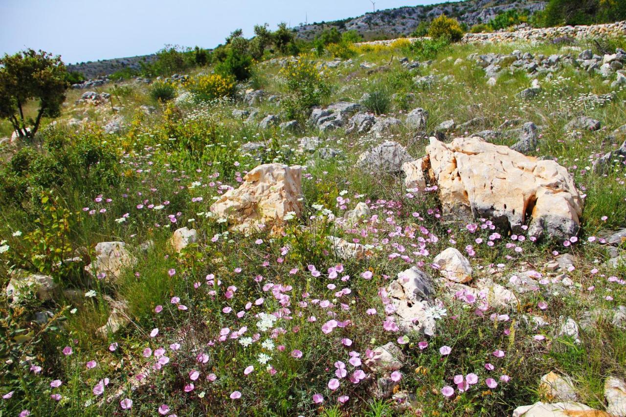 Villa Zlatno Sunce In The Hills Near Trogir Vrsine Екстер'єр фото