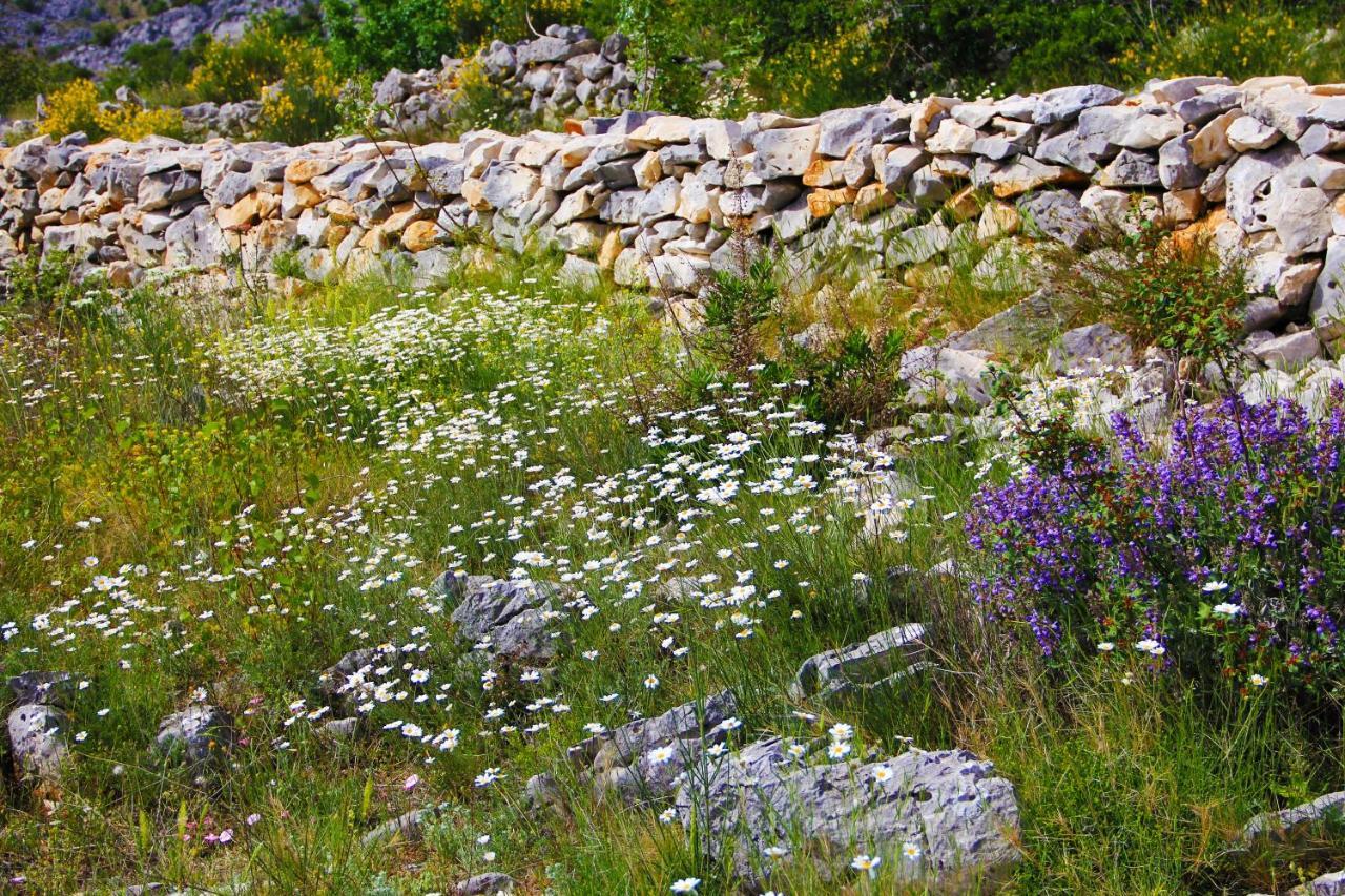Villa Zlatno Sunce In The Hills Near Trogir Vrsine Екстер'єр фото