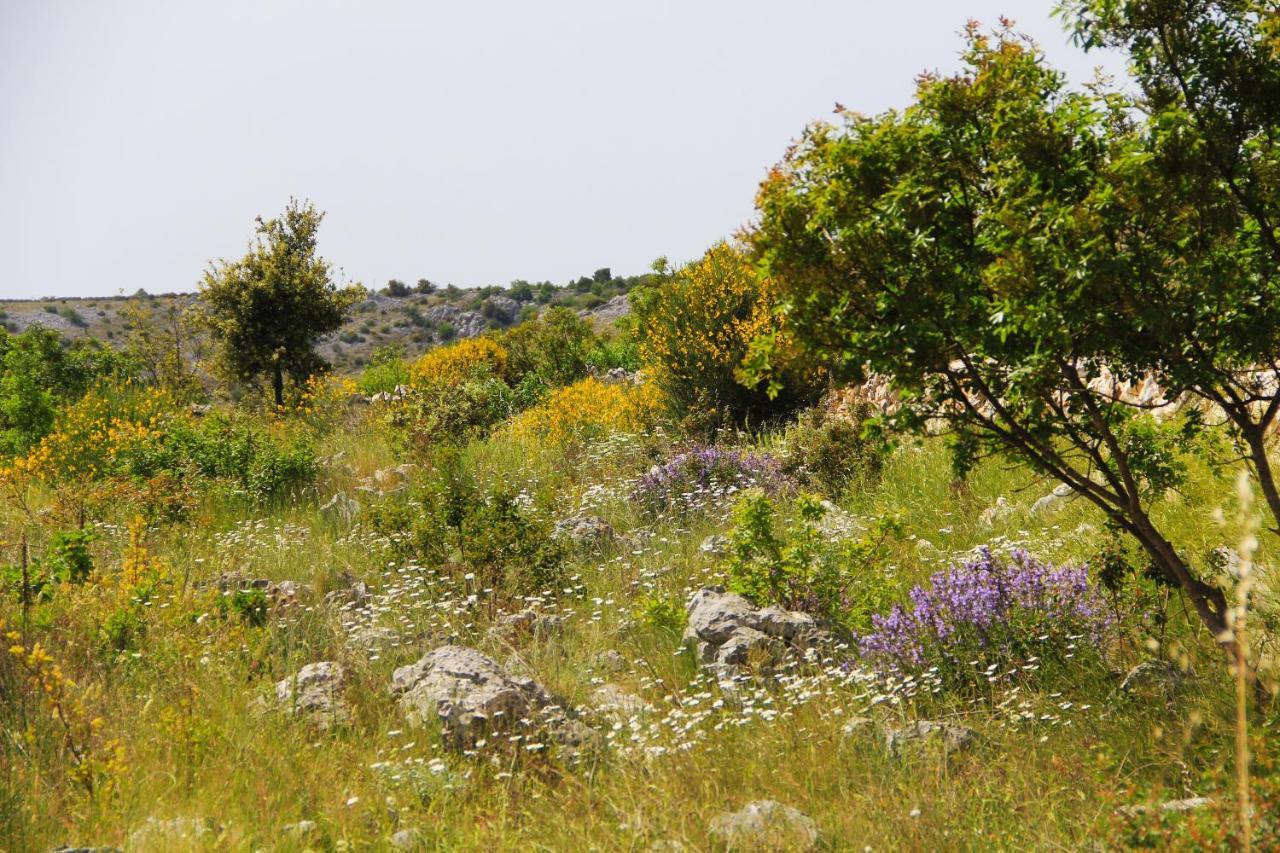 Villa Zlatno Sunce In The Hills Near Trogir Vrsine Екстер'єр фото